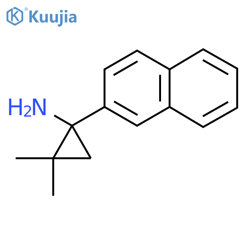 2,2-dimethyl-1-(naphthalen-2-yl)cyclopropan-1-amine structure