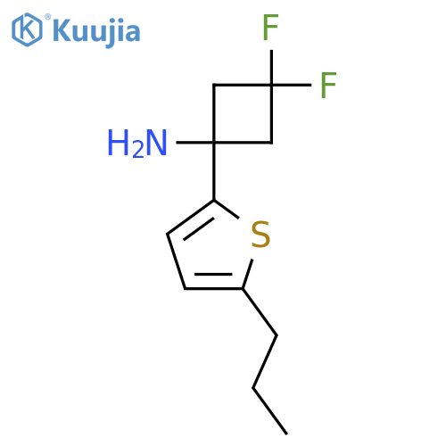 3,3-difluoro-1-(5-propylthiophen-2-yl)cyclobutan-1-amine structure