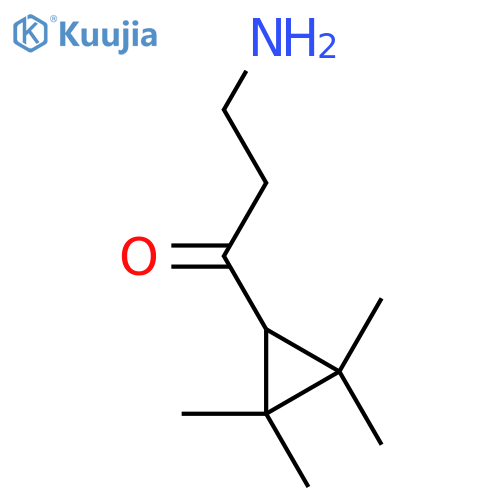3-amino-1-(2,2,3,3-tetramethylcyclopropyl)propan-1-one structure
