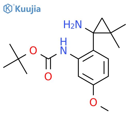 tert-butyl N-2-(1-amino-2,2-dimethylcyclopropyl)-5-methoxyphenylcarbamate structure