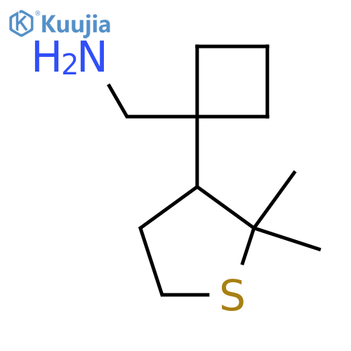 1-(2,2-dimethylthiolan-3-yl)cyclobutylmethanamine structure