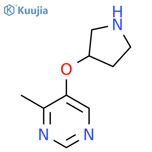 4-methyl-5-(pyrrolidin-3-yloxy)pyrimidine structure