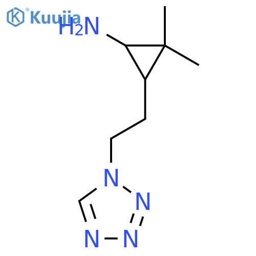 2,2-dimethyl-3-2-(1H-1,2,3,4-tetrazol-1-yl)ethylcyclopropan-1-amine structure
