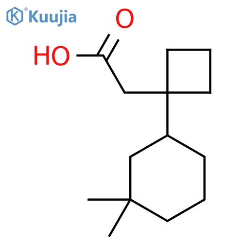 2-1-(3,3-dimethylcyclohexyl)cyclobutylacetic acid structure