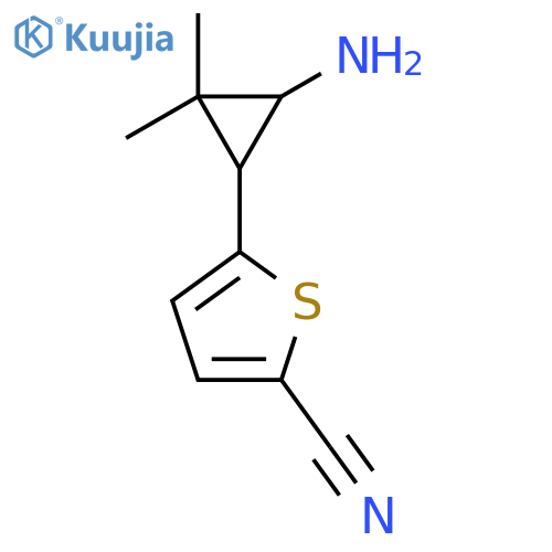 5-(3-amino-2,2-dimethylcyclopropyl)thiophene-2-carbonitrile structure