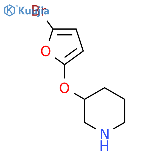 3-(5-bromofuran-2-yl)oxypiperidine structure