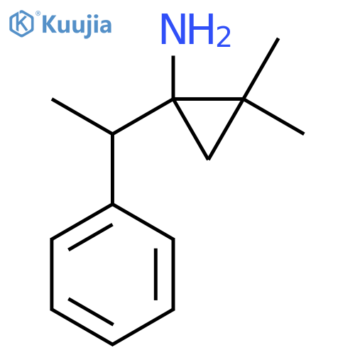 2,2-dimethyl-1-(1-phenylethyl)cyclopropan-1-amine structure