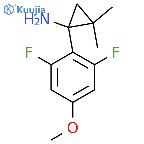 1-(2,6-difluoro-4-methoxyphenyl)-2,2-dimethylcyclopropan-1-amine structure