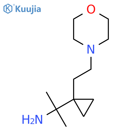 2-{1-2-(morpholin-4-yl)ethylcyclopropyl}propan-2-amine structure