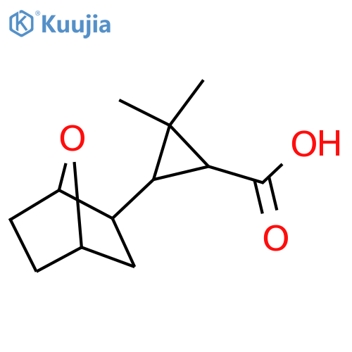 2,2-dimethyl-3-{7-oxabicyclo2.2.1heptan-2-yl}cyclopropane-1-carboxylic acid structure