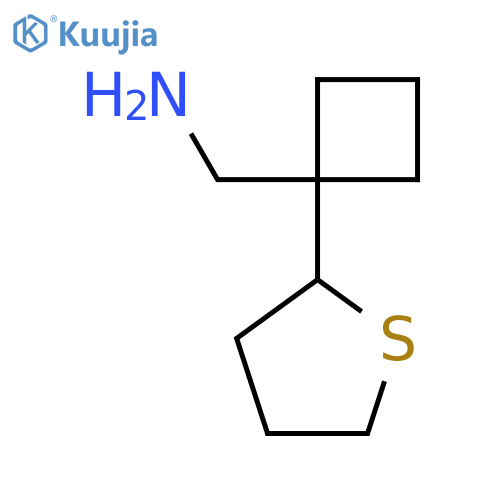 1-(thiolan-2-yl)cyclobutylmethanamine structure