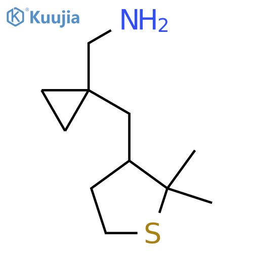 {1-(2,2-dimethylthiolan-3-yl)methylcyclopropyl}methanamine structure