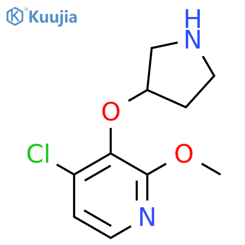 4-chloro-2-methoxy-3-(pyrrolidin-3-yloxy)pyridine structure