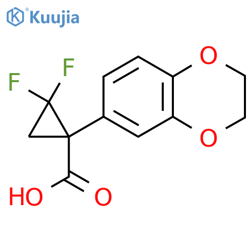 1-(2,3-dihydro-1,4-benzodioxin-6-yl)-2,2-difluorocyclopropane-1-carboxylic acid structure
