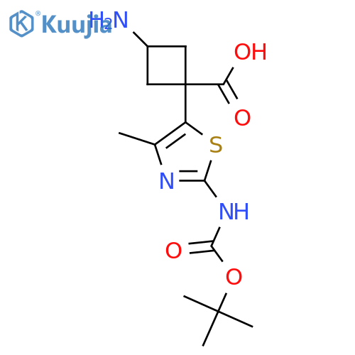 3-amino-1-(2-{(tert-butoxy)carbonylamino}-4-methyl-1,3-thiazol-5-yl)cyclobutane-1-carboxylic acid structure
