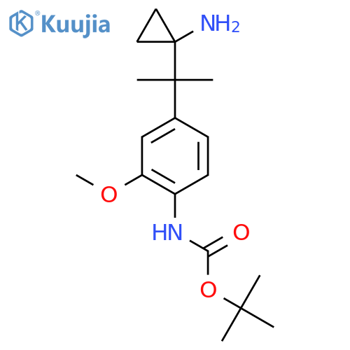 tert-butyl N-{4-[2-(1-aminocyclopropyl)propan-2-yl]-2-methoxyphenyl}carbamate structure