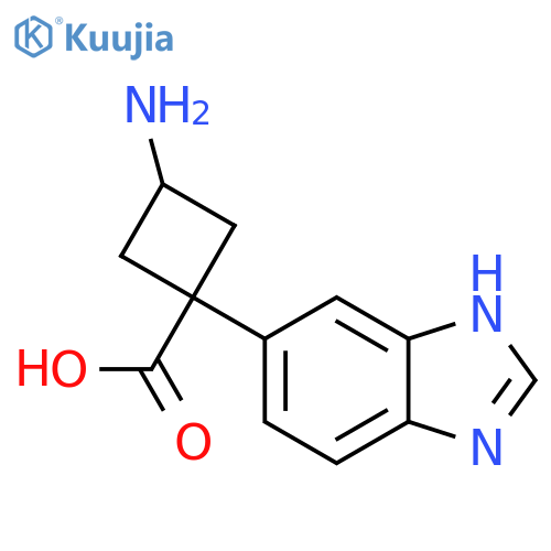 3-amino-1-(1H-1,3-benzodiazol-5-yl)cyclobutane-1-carboxylic acid structure
