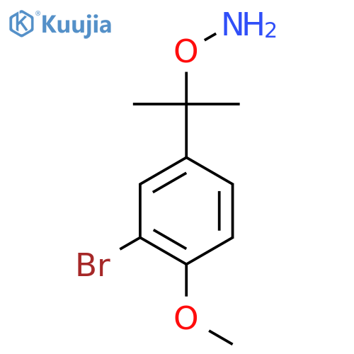 O-2-(3-bromo-4-methoxyphenyl)propan-2-ylhydroxylamine structure