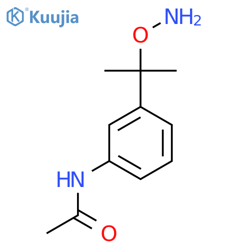N-{3-2-(aminooxy)propan-2-ylphenyl}acetamide structure