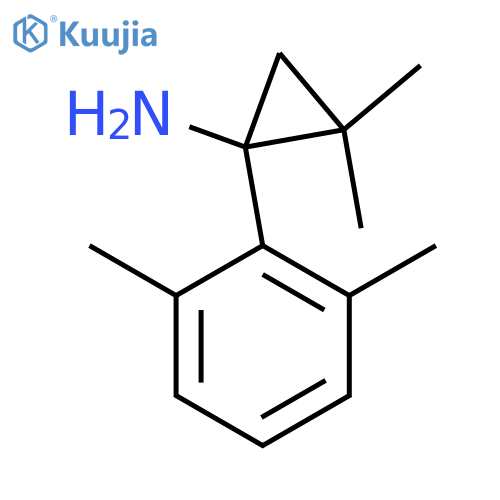 1-(2,6-dimethylphenyl)-2,2-dimethylcyclopropan-1-amine structure