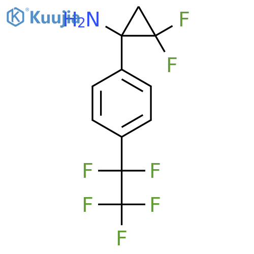 2,2-difluoro-1-4-(pentafluoroethyl)phenylcyclopropan-1-amine structure