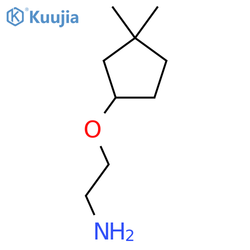 2-(3,3-dimethylcyclopentyl)oxyethan-1-amine structure