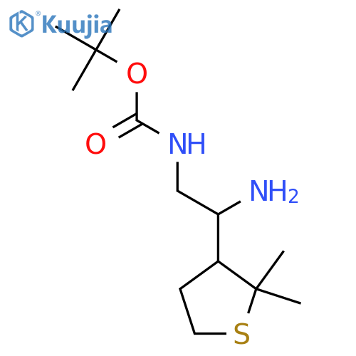 tert-butyl N-2-amino-2-(2,2-dimethylthiolan-3-yl)ethylcarbamate structure