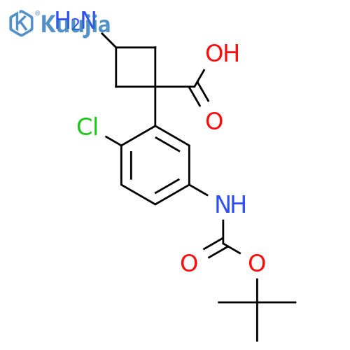 3-amino-1-(5-{(tert-butoxy)carbonylamino}-2-chlorophenyl)cyclobutane-1-carboxylic acid structure