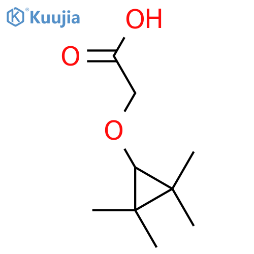 2-(2,2,3,3-tetramethylcyclopropoxy)acetic acid structure