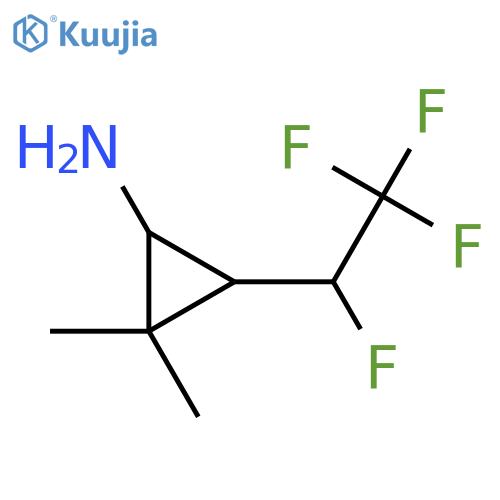 2,2-dimethyl-3-(1,2,2,2-tetrafluoroethyl)cyclopropan-1-amine structure