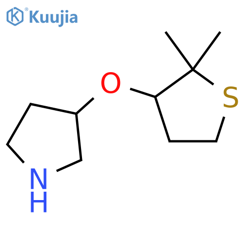 3-(2,2-dimethylthiolan-3-yl)oxypyrrolidine structure