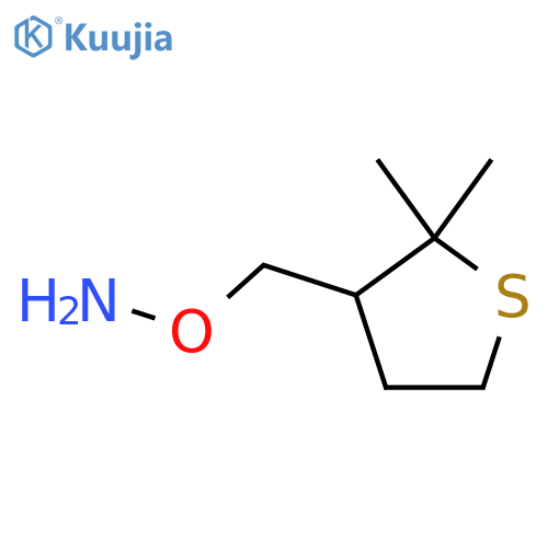 O-(2,2-dimethylthiolan-3-yl)methylhydroxylamine structure
