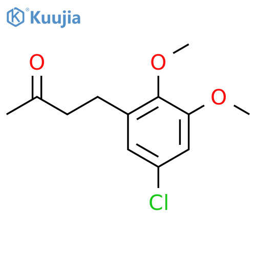 4-(5-chloro-2,3-dimethoxyphenyl)butan-2-one structure