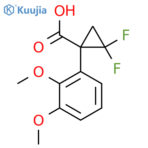 1-(2,3-dimethoxyphenyl)-2,2-difluorocyclopropane-1-carboxylic acid structure