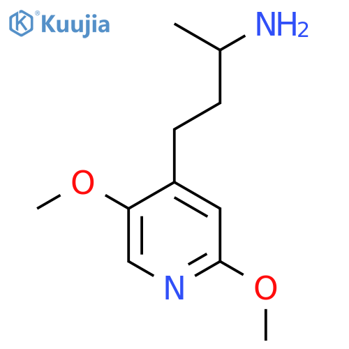 4-(2,5-dimethoxypyridin-4-yl)butan-2-amine structure