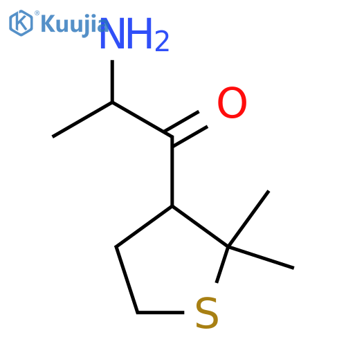 2-amino-1-(2,2-dimethylthiolan-3-yl)propan-1-one structure