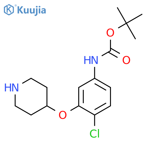 tert-butyl N-4-chloro-3-(piperidin-4-yloxy)phenylcarbamate structure