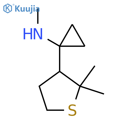 1-(2,2-dimethylthiolan-3-yl)-N-methylcyclopropan-1-amine structure