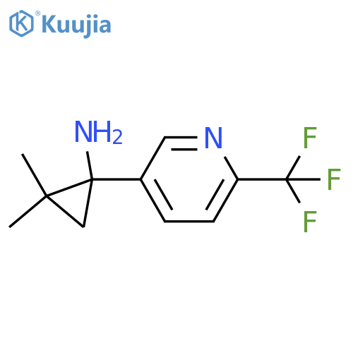 2,2-dimethyl-1-6-(trifluoromethyl)pyridin-3-ylcyclopropan-1-amine structure