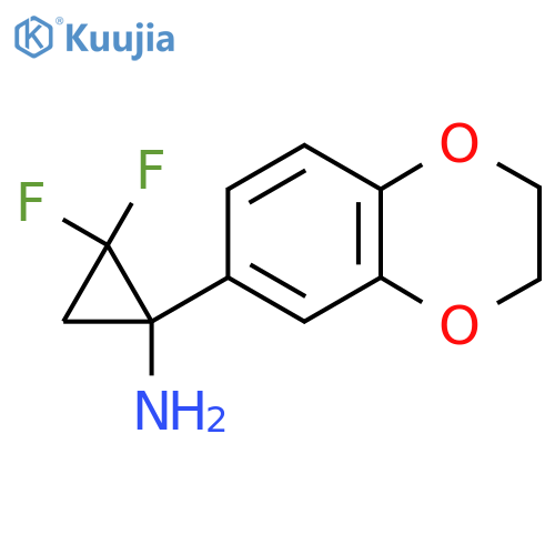 1-(2,3-dihydro-1,4-benzodioxin-6-yl)-2,2-difluorocyclopropan-1-amine structure