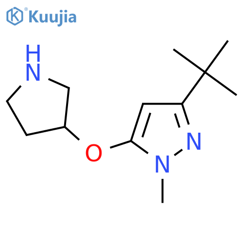 3-tert-butyl-1-methyl-5-(pyrrolidin-3-yloxy)-1H-pyrazole structure