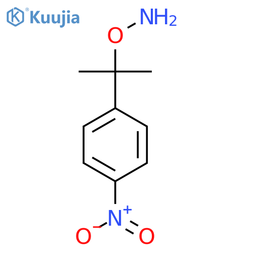O-2-(4-nitrophenyl)propan-2-ylhydroxylamine structure