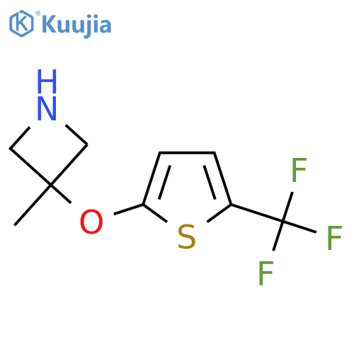 3-methyl-3-{5-(trifluoromethyl)thiophen-2-yloxy}azetidine structure