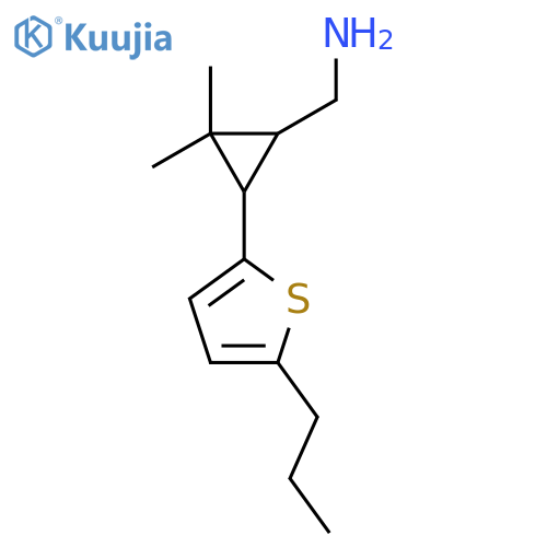 2,2-dimethyl-3-(5-propylthiophen-2-yl)cyclopropylmethanamine structure