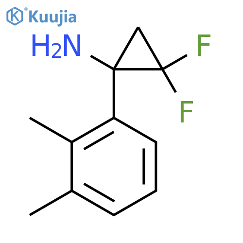 1-(2,3-dimethylphenyl)-2,2-difluorocyclopropan-1-amine structure