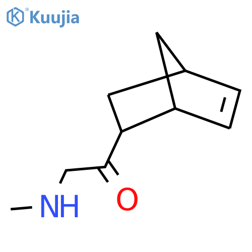 1-{bicyclo2.2.1hept-5-en-2-yl}-2-(methylamino)ethan-1-one structure
