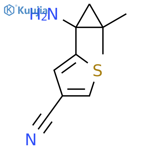 5-(1-amino-2,2-dimethylcyclopropyl)thiophene-3-carbonitrile structure
