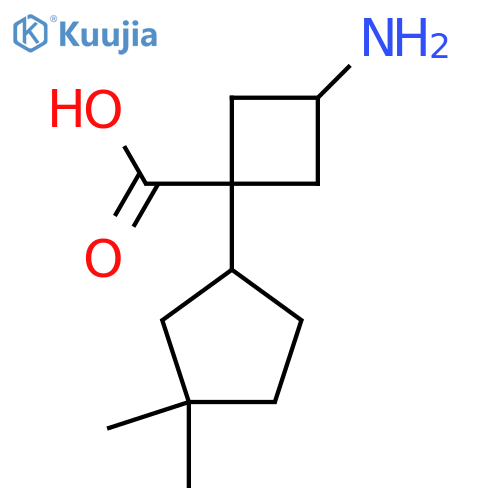 3-amino-1-(3,3-dimethylcyclopentyl)cyclobutane-1-carboxylic acid structure