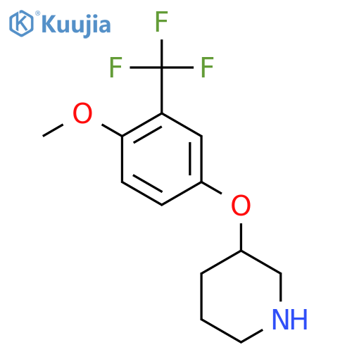 3-4-methoxy-3-(trifluoromethyl)phenoxypiperidine structure