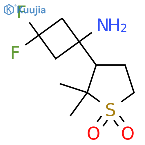 3-(1-amino-3,3-difluorocyclobutyl)-2,2-dimethyl-1lambda6-thiolane-1,1-dione structure